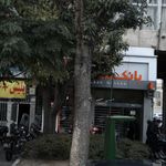 بانک ملی شعبه عارف