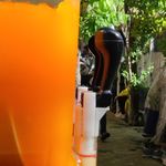 رستوران تیگران