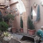 رستوران تیگران