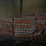 اجاره انبار،کانتینر،سوله آرتا-تهران،کرج