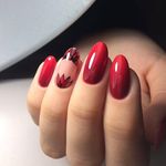 سالن زیبایی عروس و آکادمی نیلوفر یوسفی