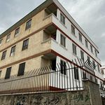 شرکت ارتفاع کاران شهر