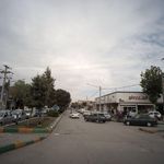 شیرینی پدیده شهر