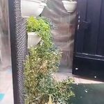 سالن زیبایی عروس و آکادمی نیلوفر یوسفی