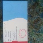 لباسشویی و سفید شویی ویلا