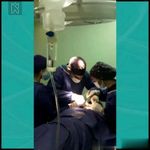 کلینیک دندانپزشکی قلهک