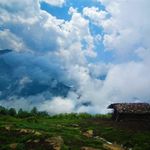 بوستان جنگلی صفارود
