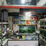 آکواریوم آبشار