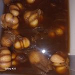 فروشگاه پروتئین فرامرز