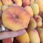 میوه سرای نخل نارنج
