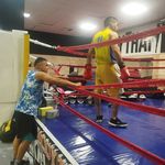 کلاب بوکس شاهین