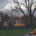 روستای خواجه ده