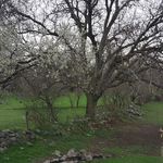 روستای خواجه ده