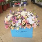 گل فروشی آندیا (شعبه دو)