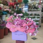 گل فروشی آندیا (شعبه دو)