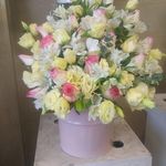 گل فروشی آندیا (شعبه دو)