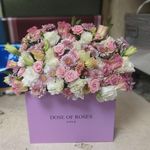 گل فروشی آندیا(شعبه پاسداران)