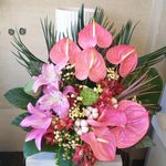 گل فروشی آندیا (شعبه دو)