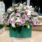 گل فروشی آندیا (شعبه دو)