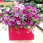 گل فروشی آندیا (شعبه دو)