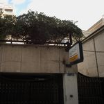 دکتر فرشاد فاضلی پناه