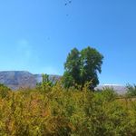 اقامتگاه سنتی باغ دو سرو تفت