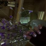 مرکز تخصصی زیبایی مداد رنگی