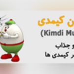 تهیه غذای خانگی دم‌کنی