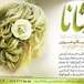 سالن زیبایی شانا