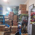 نمایندگی کمک فنر کوشاوران کوروش میرزایی