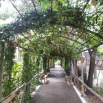 سالن ورزشی بابک مروج تربتی
