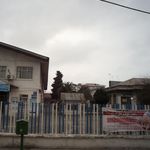 دکتر نیلوفر صفر خواه