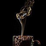 کافه دنج ساسانیان☕️🫖