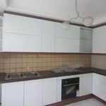 کابینت صابر