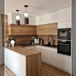 کابینت صابر