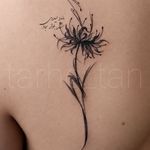 میکروبلیدینگ و شیدینگ و تتو مائده حیدری