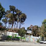 دبستان پسرانه شاهد دکتر جعفر شهیدی