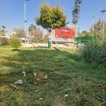 پارک نوفل لوشاتو (بوستان نوفل لوشاتو)