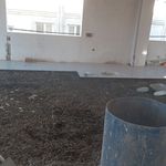 مهدی احمدوند