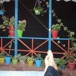 اقامتگاه بومگردی خانه آرزوها