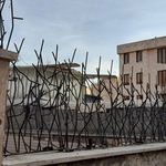 پیمانکاری و ساخت و ساز اسدی