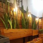 سید ابوذر حسینی