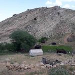 بومگردی عشایری آتایورد