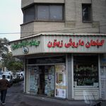 فروشگاه گیاهان دارویی زیتون