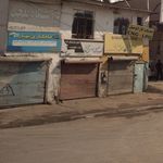 کالای برق شجری