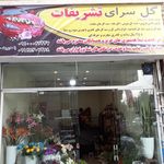 گل سایه