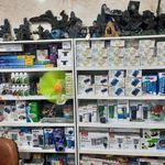 آکواریوم سینا
