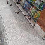 سوپر مارکت آرتان
