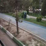 بوستان نسیم