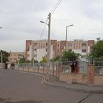 مجتمع قائم یک